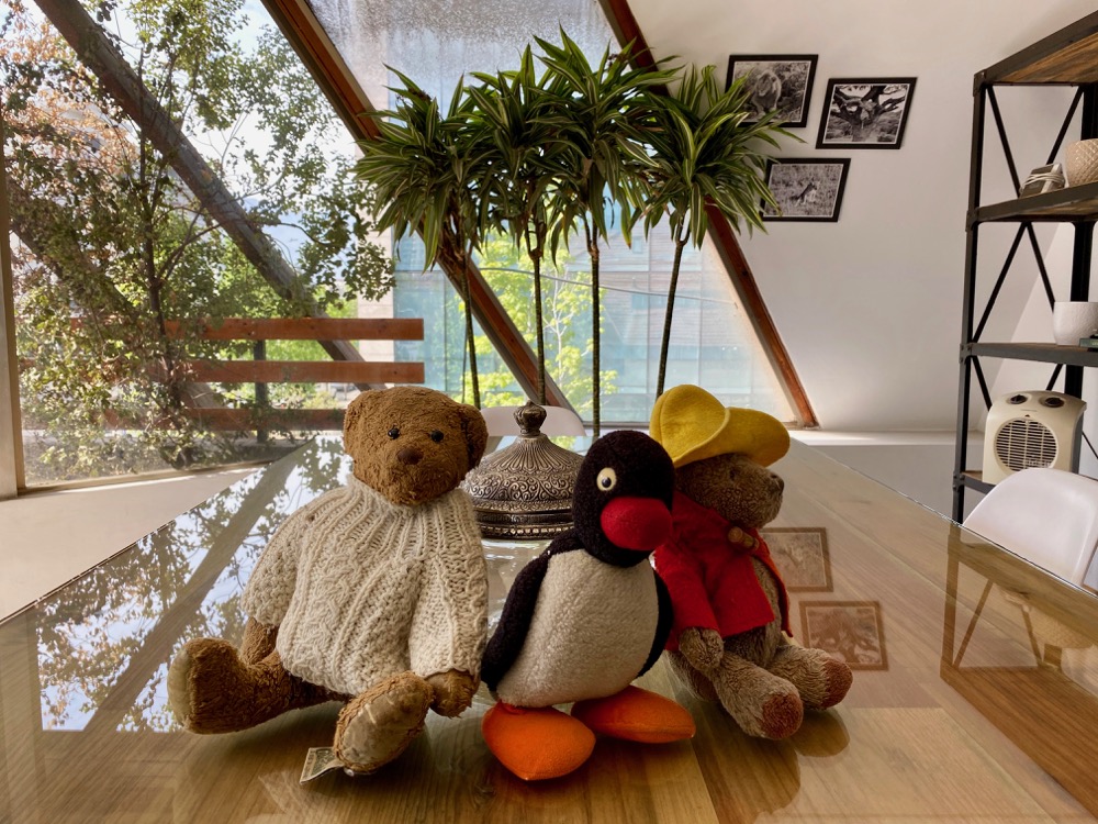 From left to right: Ned, Pingu, Dr. Stanley. All enjoying the AirBnB