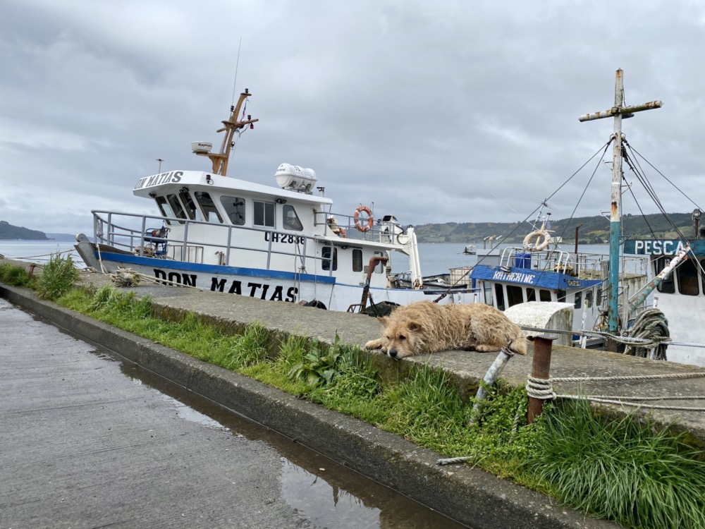 Bonus: Nice pictures of boats