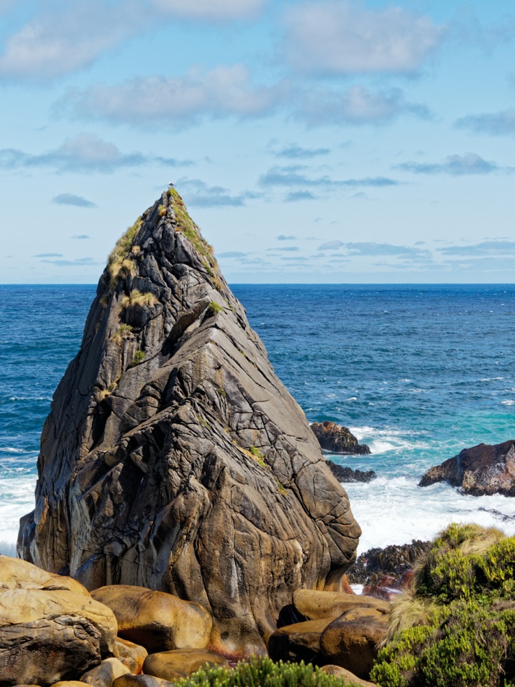 Our hike along the coast of Estero Slight - clear evidence of Obelix