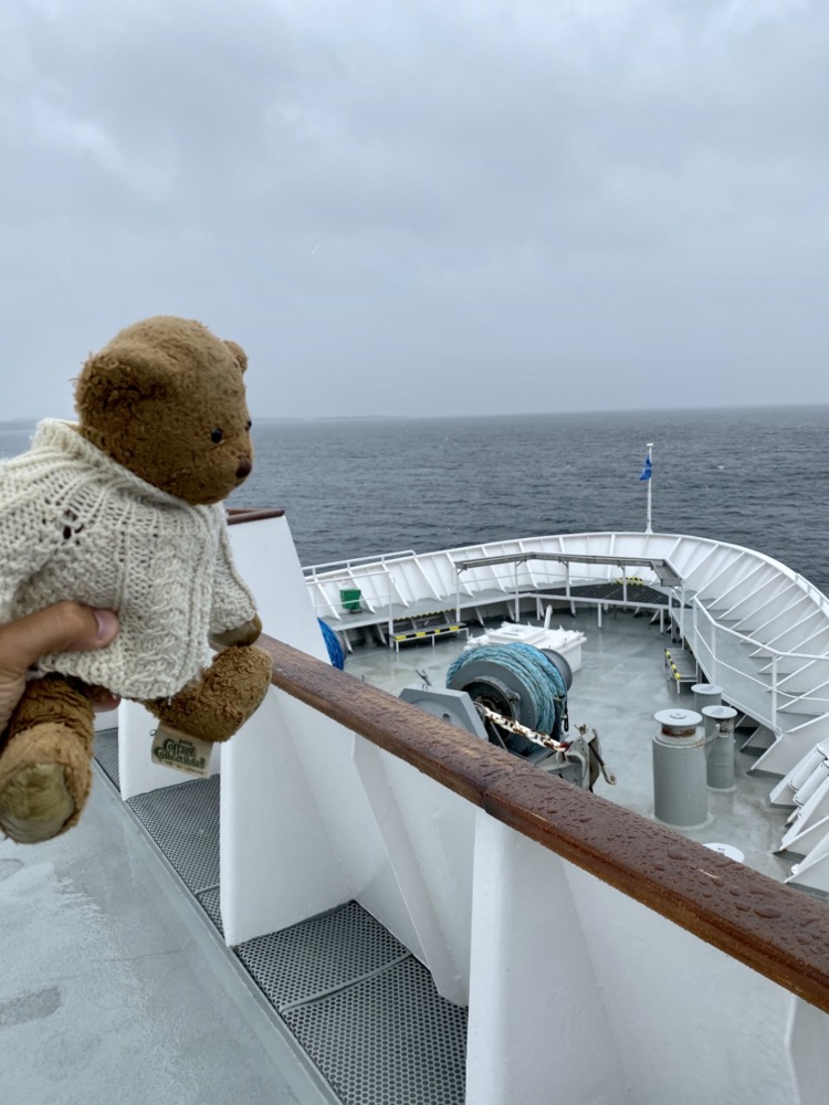 Ned unamused with the rain on the bow