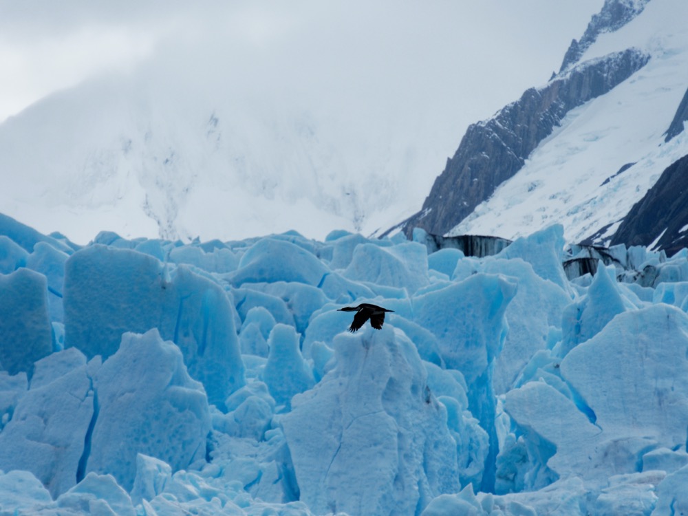 Garibaldi glacier