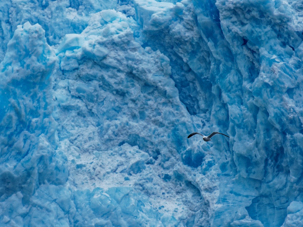 Garibaldi glacier