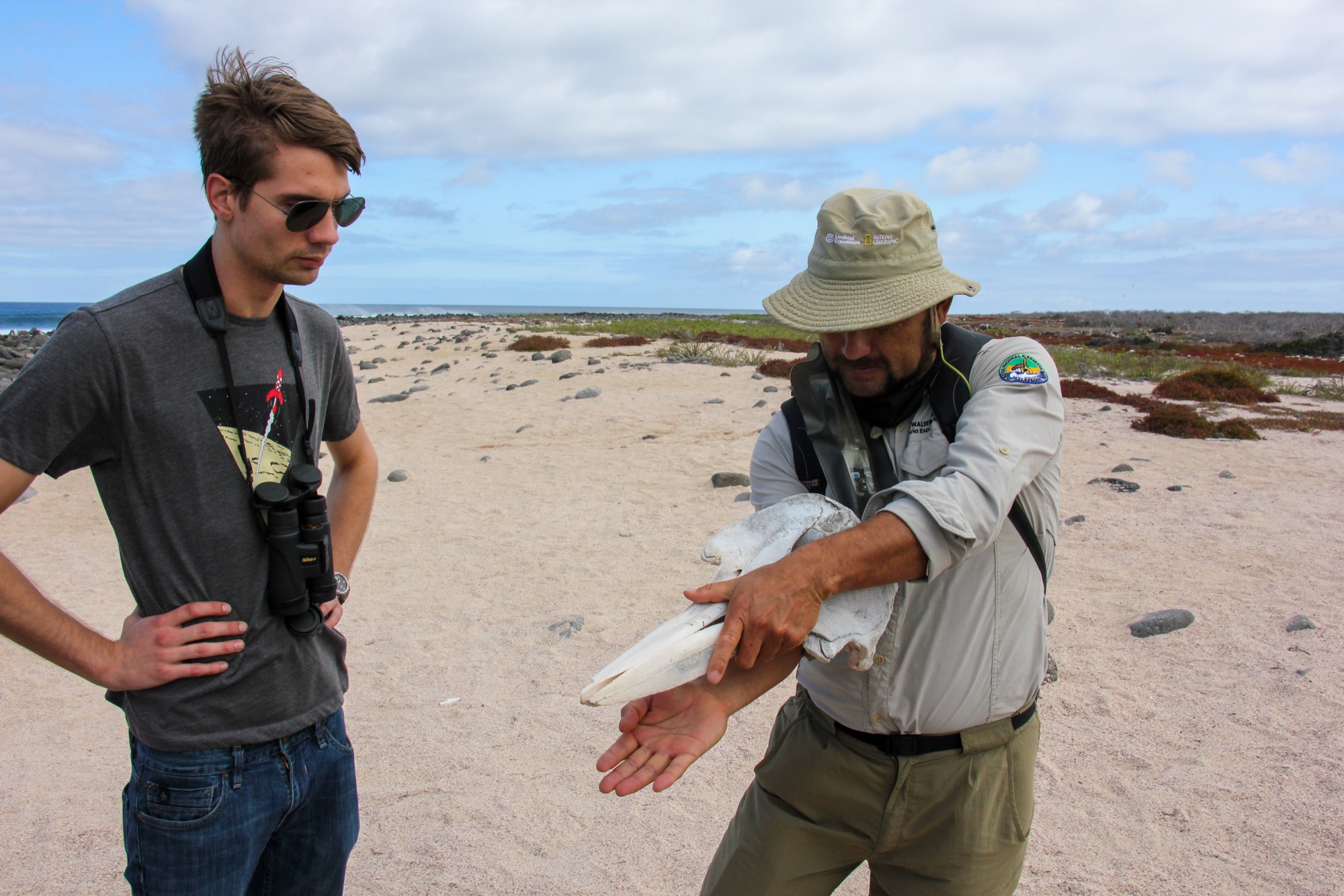 Neil learning about dolphin anatomy