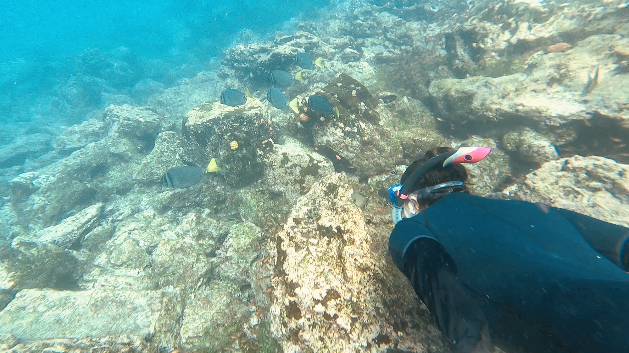 Julia - expert snorkeler