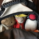 Traveling with Bears